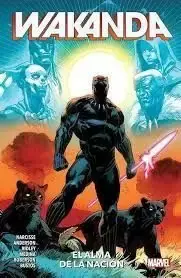 100% Marvel Wakanda Oferta Flash