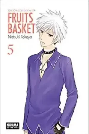 A Buen Precio FRUITS BASKET (EDICION COLECCIONISTA 5) FRUITS BASKET (EDICION COLECCIONISTA 5)