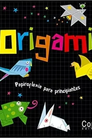 Entrega Rápida ORIGAMI ORIGAMI