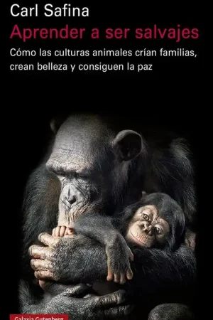 Aprender a ser salvajes "Cómo las culturas animales crían familias, crean belleza y consiguen la" Más Vendido