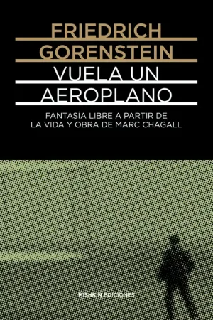 Vuela un aeroplano Precio Bajo